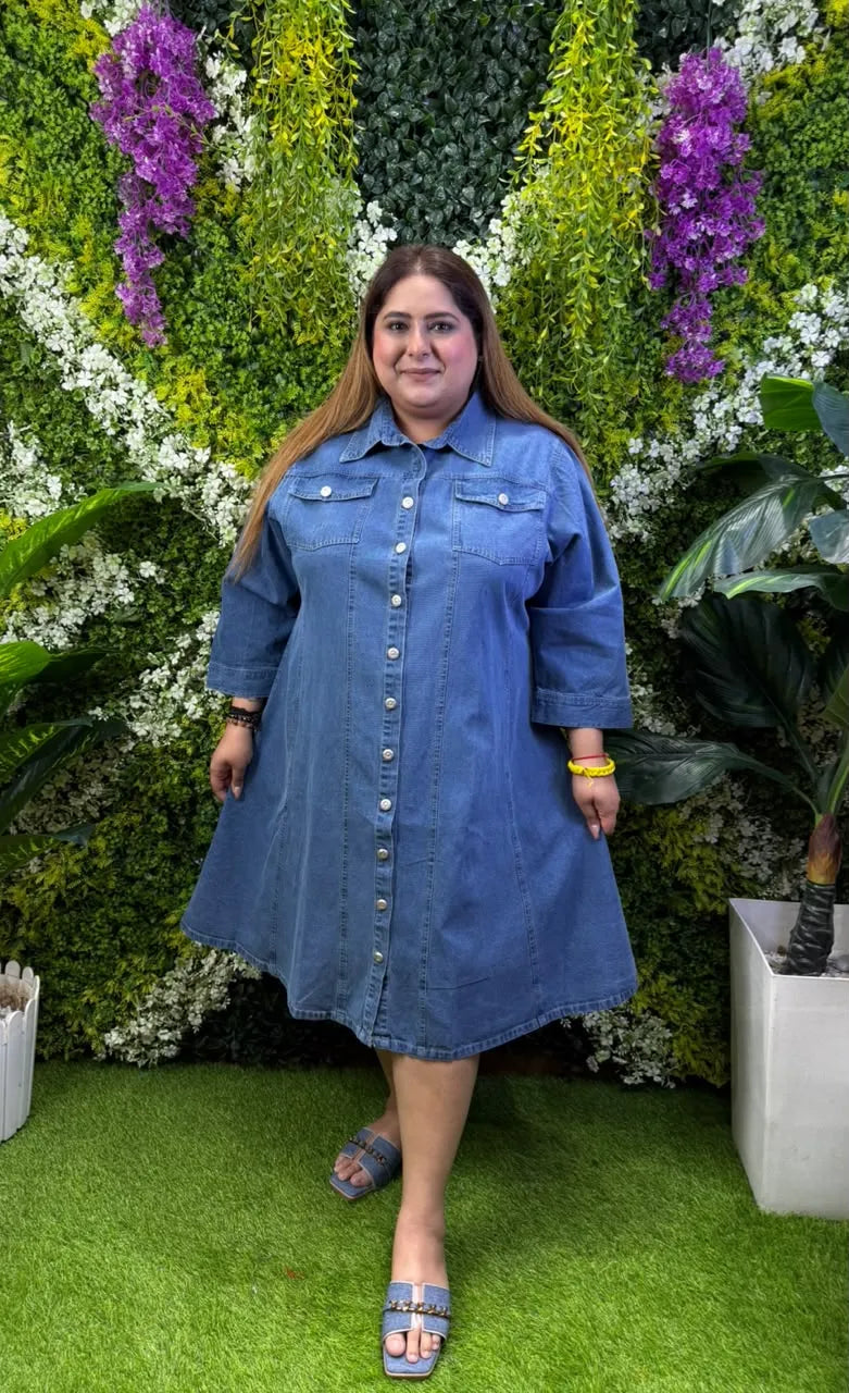 Denim Luxe Dress - View 2